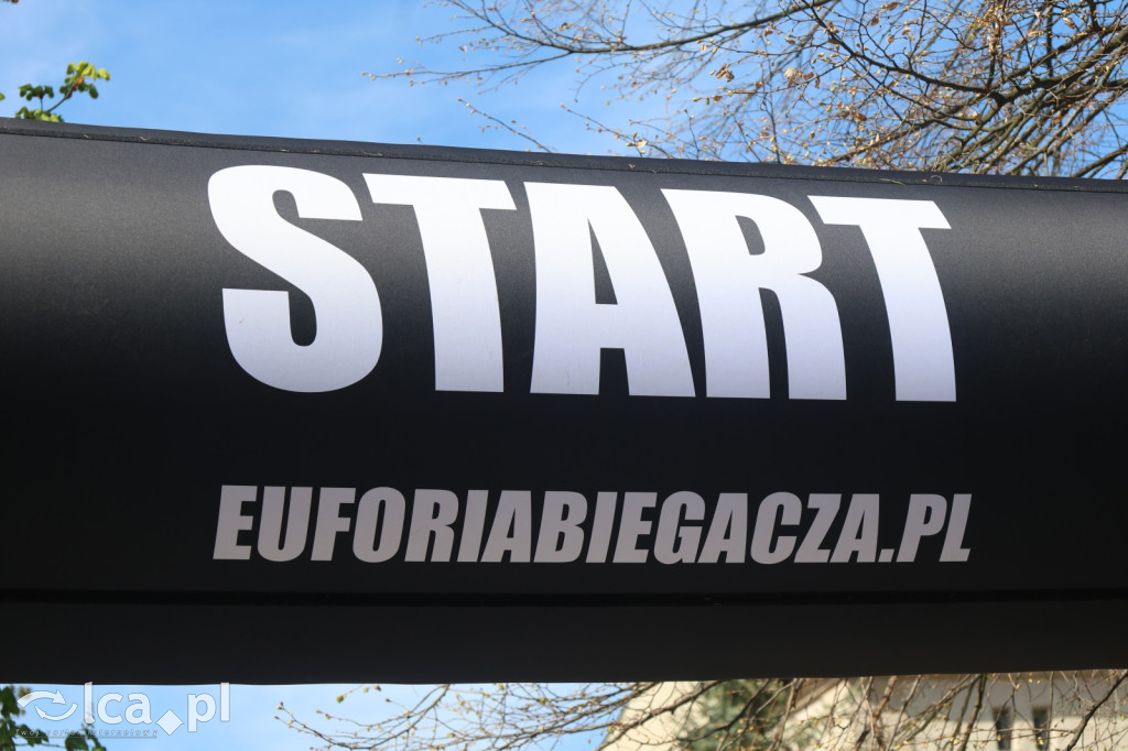 Młodzi biegacze w Legnickim Polu