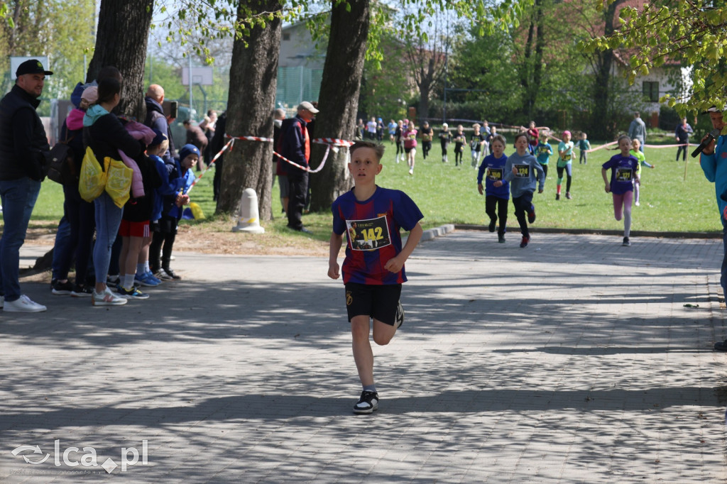 Młodzi biegacze w Legnickim Polu