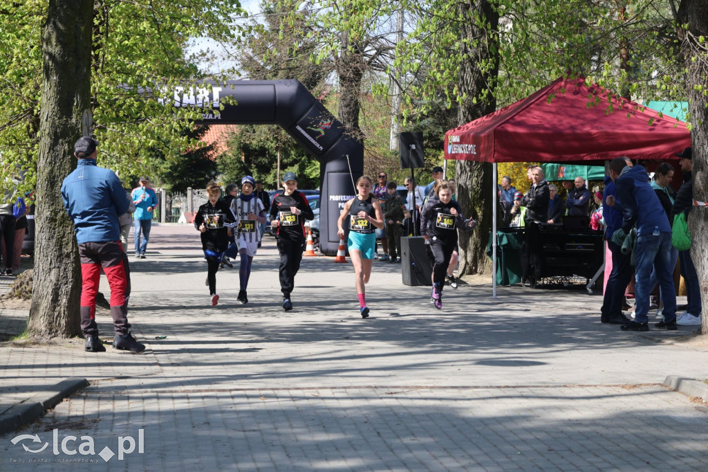 Młodzi biegacze w Legnickim Polu