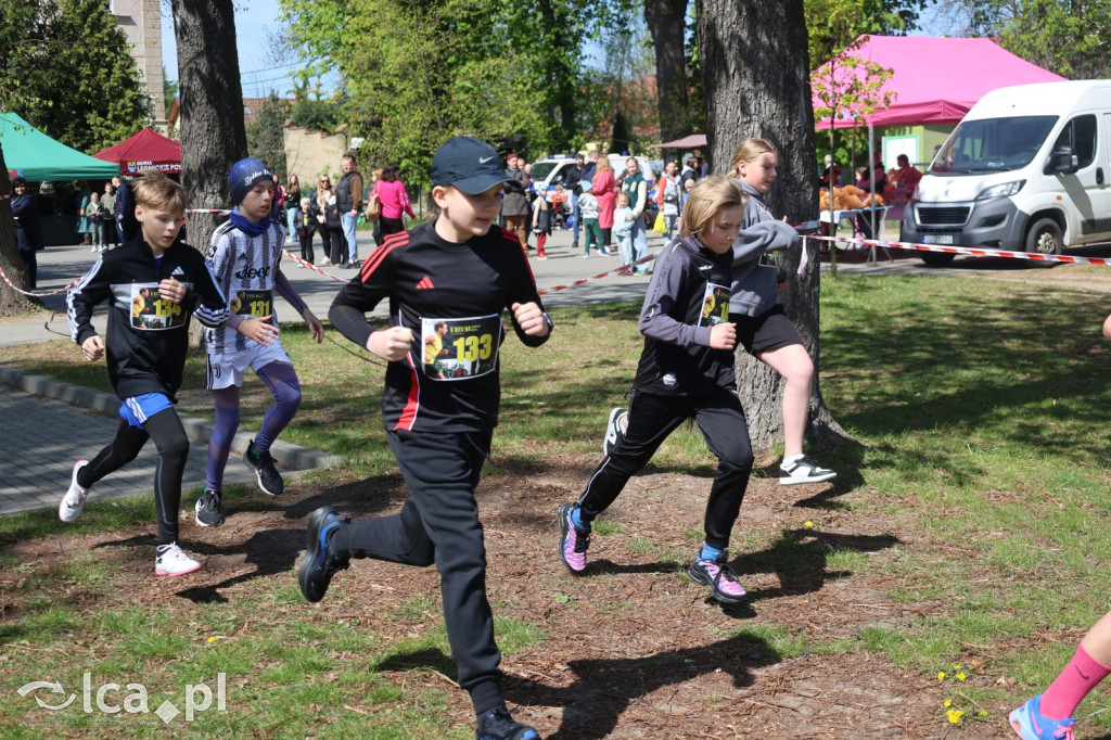 Młodzi biegacze w Legnickim Polu