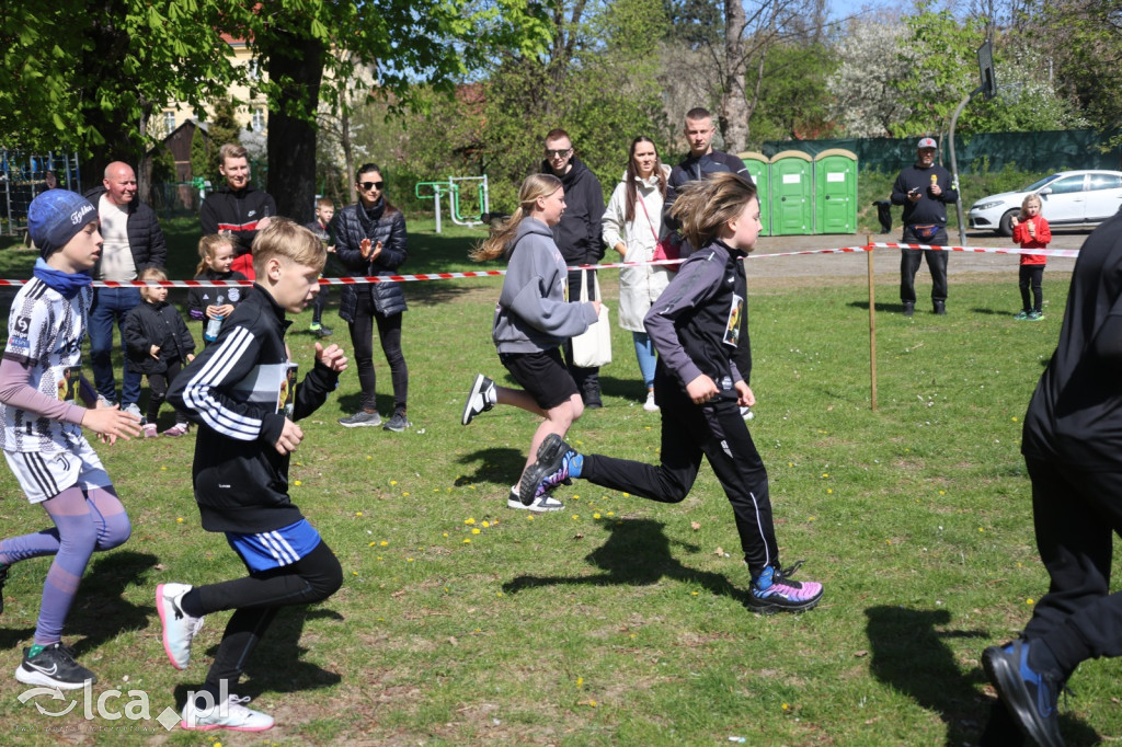 Młodzi biegacze w Legnickim Polu