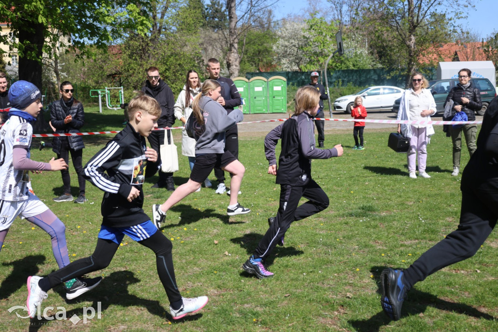Młodzi biegacze w Legnickim Polu