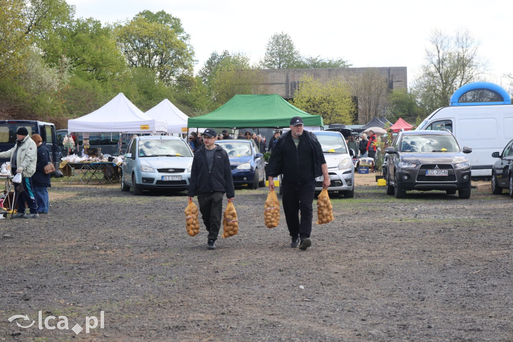 Szukasz czegoś. Zajedź do Bartoszowa