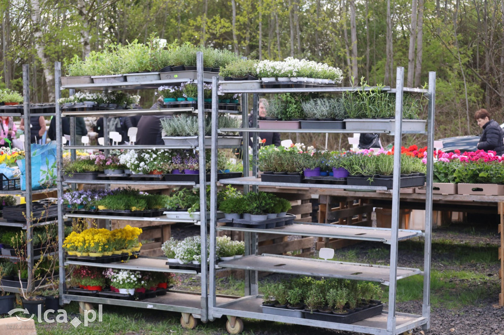 Szukasz czegoś. Zajedź do Bartoszowa