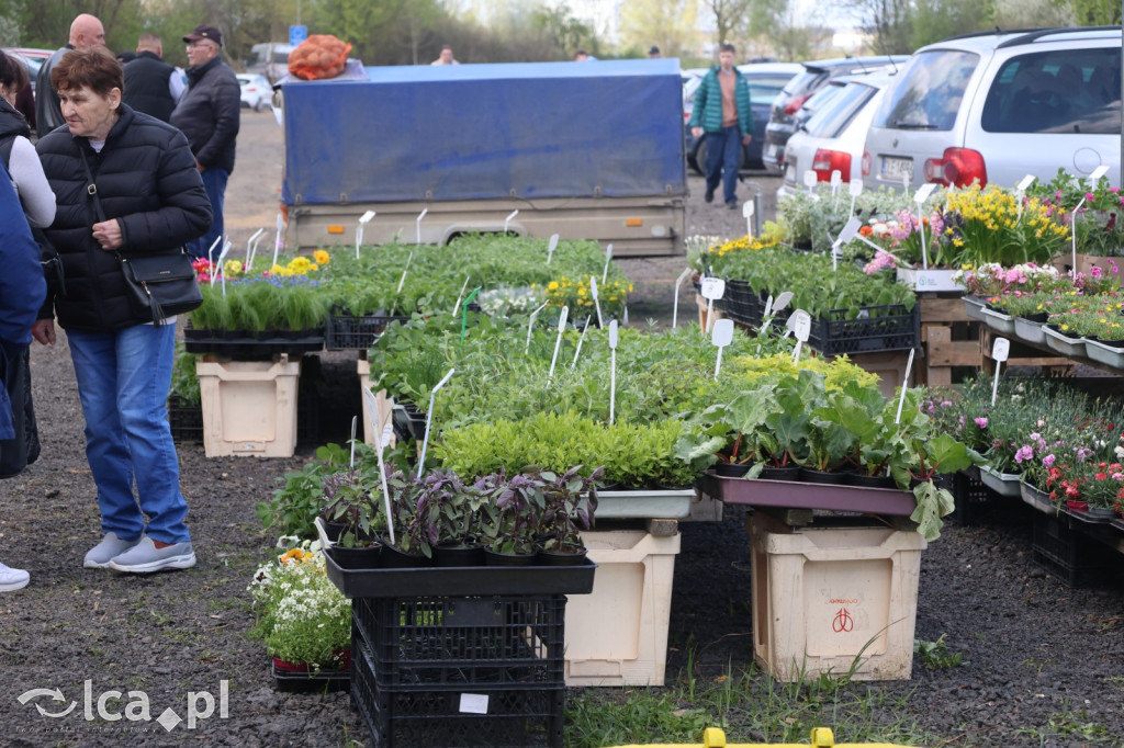 Szukasz czegoś. Zajedź do Bartoszowa