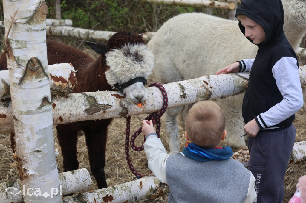 Szukasz czegoś. Zajedź do Bartoszowa