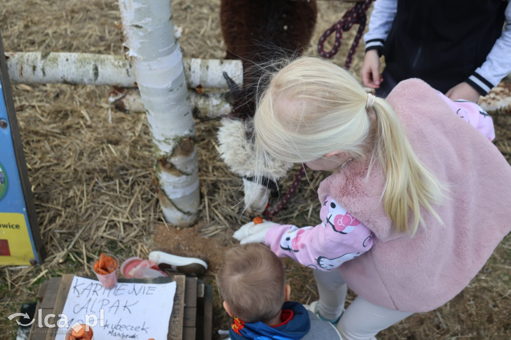 Szukasz czegoś. Zajedź do Bartoszowa