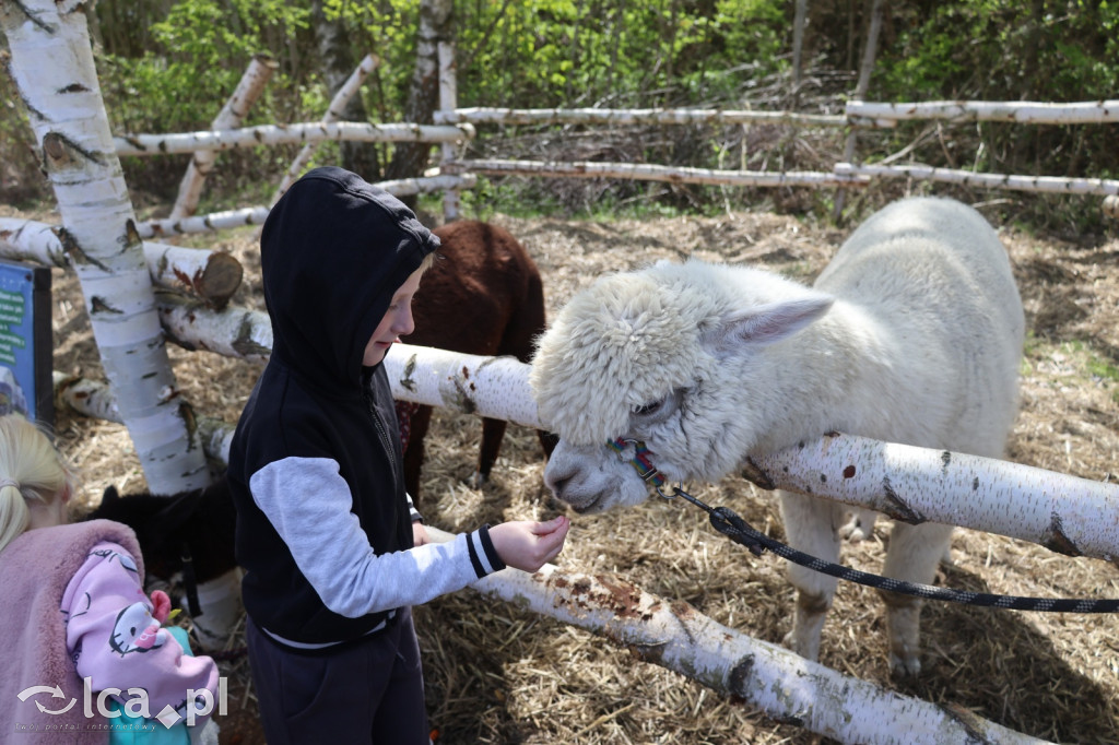 Szukasz czegoś. Zajedź do Bartoszowa