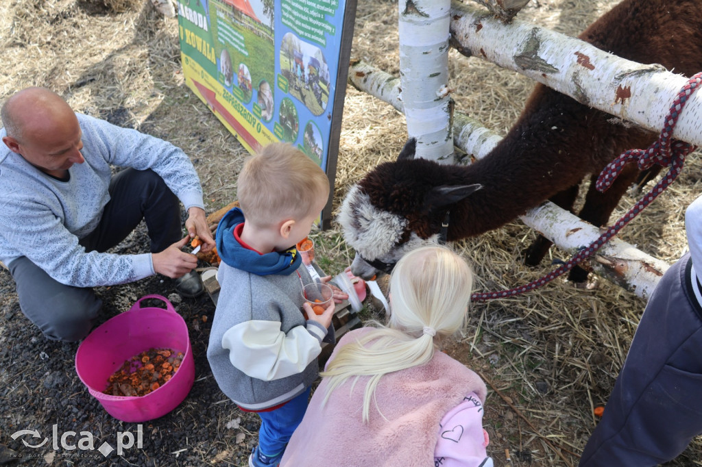 Szukasz czegoś. Zajedź do Bartoszowa