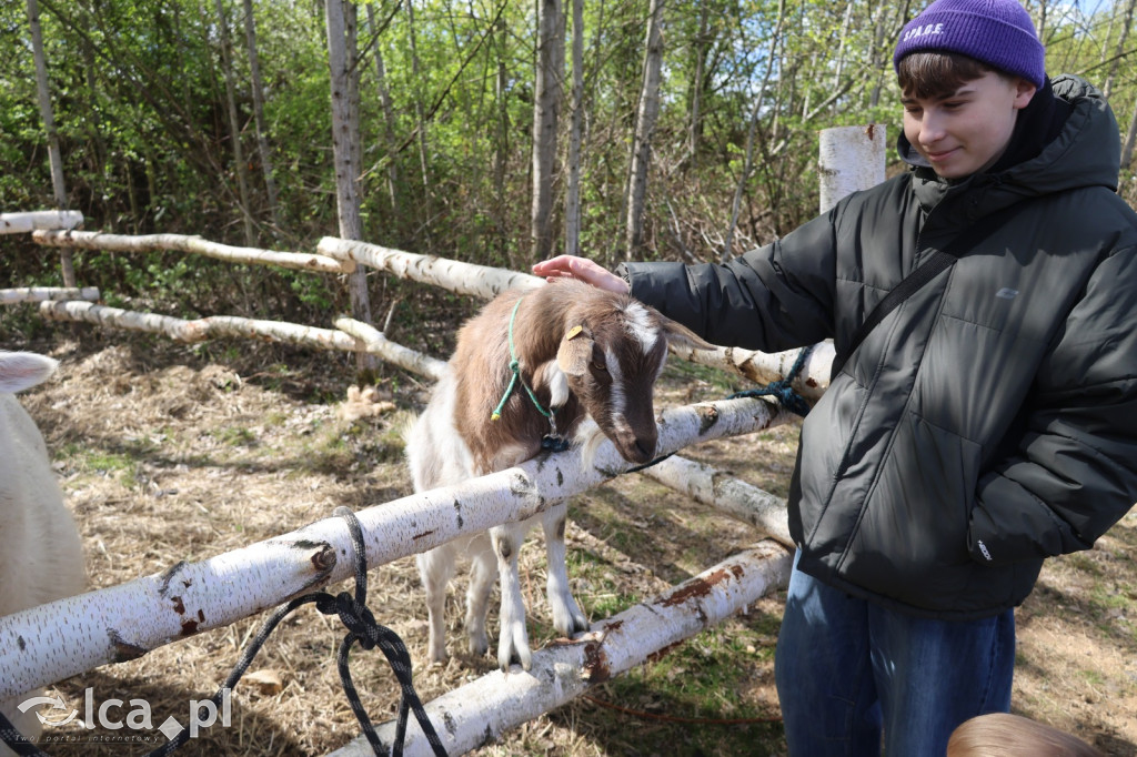 Szukasz czegoś. Zajedź do Bartoszowa