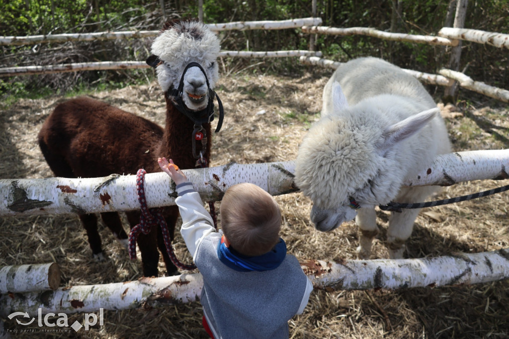 Szukasz czegoś. Zajedź do Bartoszowa