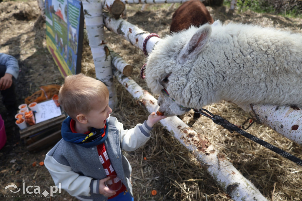 Szukasz czegoś. Zajedź do Bartoszowa