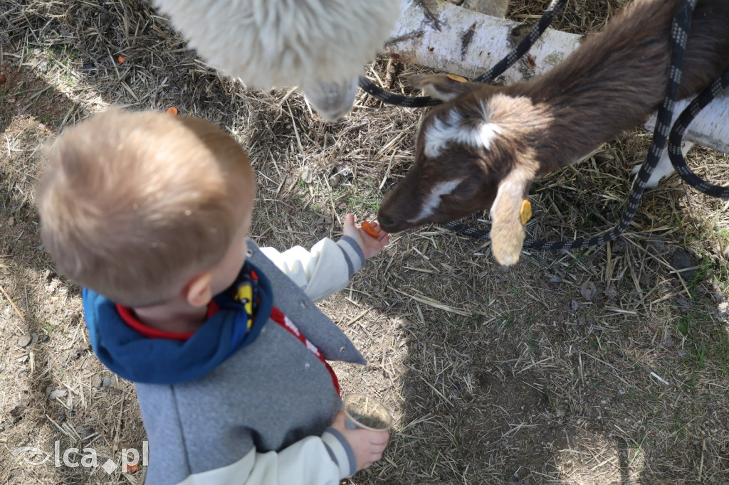 Szukasz czegoś. Zajedź do Bartoszowa