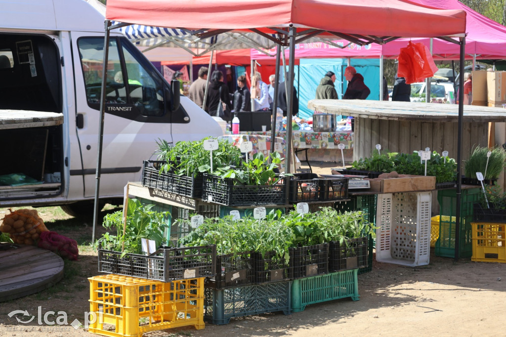 Szukasz czegoś. Zajedź do Bartoszowa