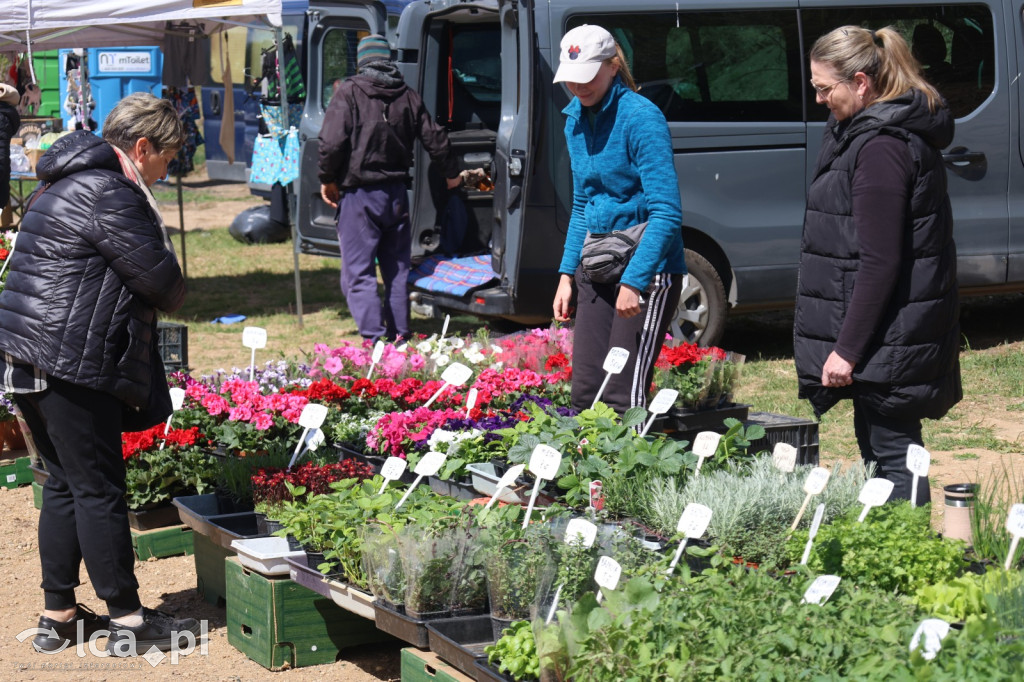 Szukasz czegoś. Zajedź do Bartoszowa