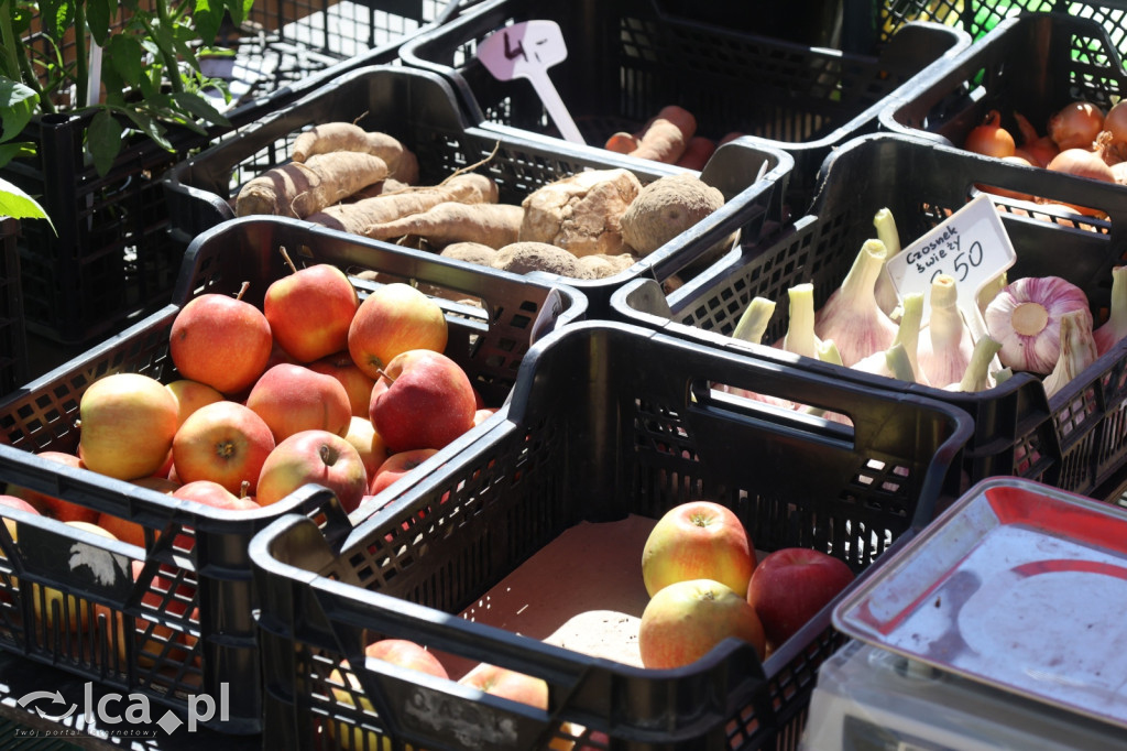 Szukasz czegoś. Zajedź do Bartoszowa