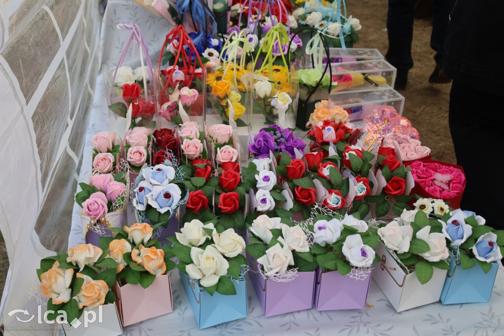 Szukasz czegoś. Zajedź do Bartoszowa