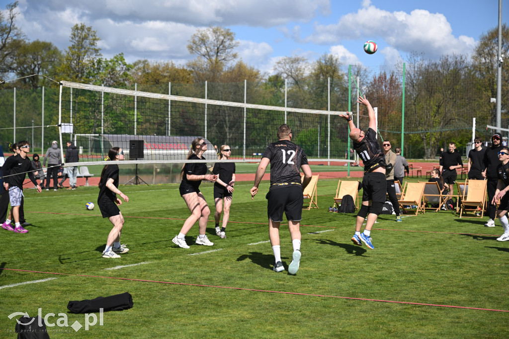 Wiosenna siatkówka w Parku Miejskim