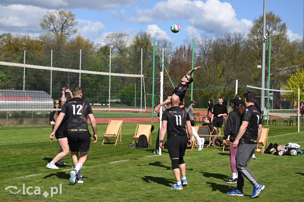 Wiosenna siatkówka w Parku Miejskim