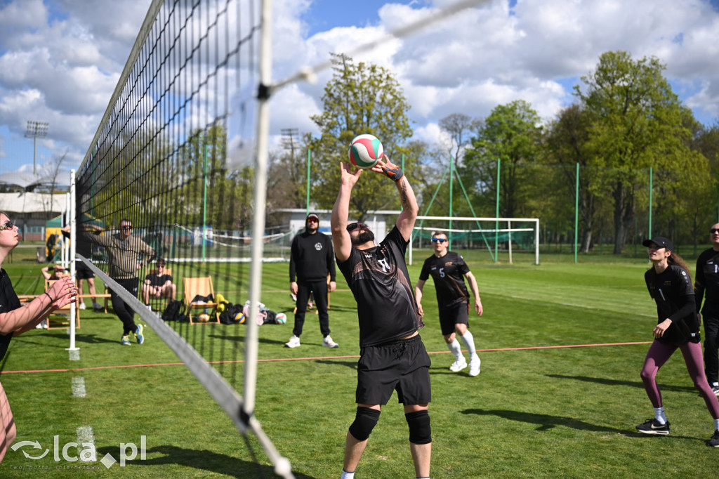 Wiosenna siatkówka w Parku Miejskim