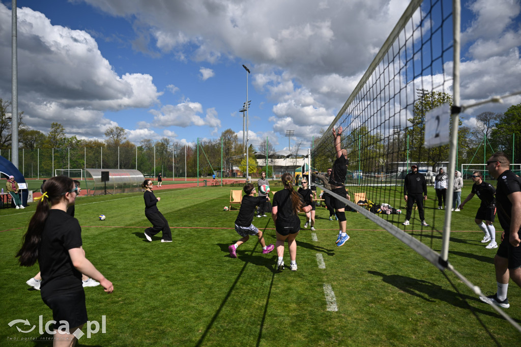 Wiosenna siatkówka w Parku Miejskim