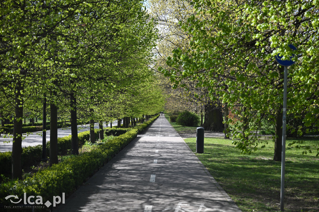 Spóźniona wiosna nadrabia czas w parku