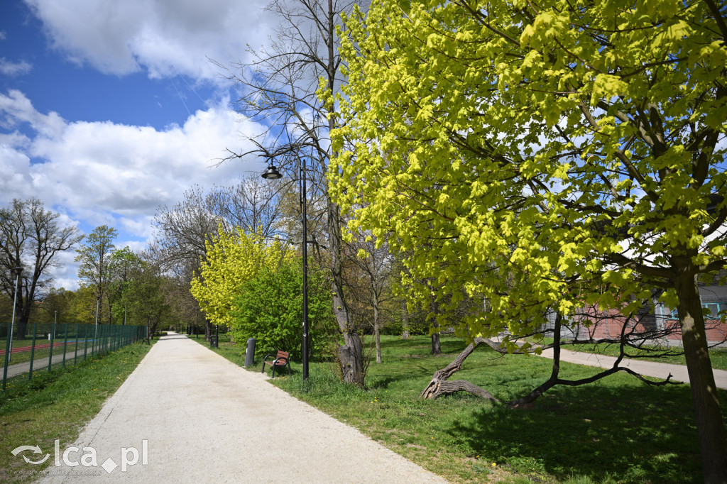 Spóźniona wiosna nadrabia czas w parku