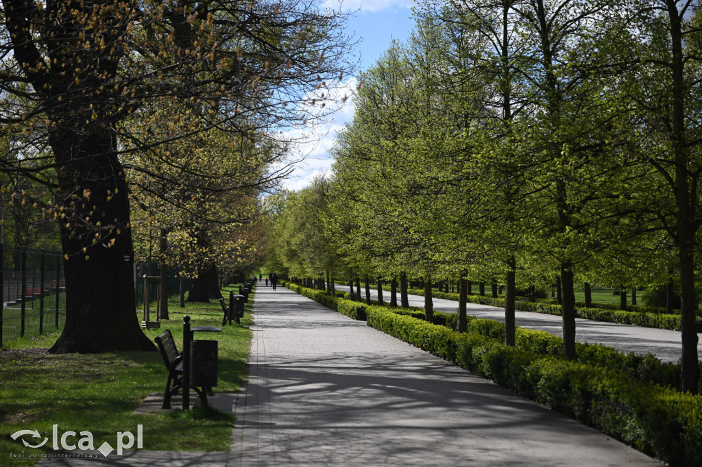 Spóźniona wiosna nadrabia czas w parku