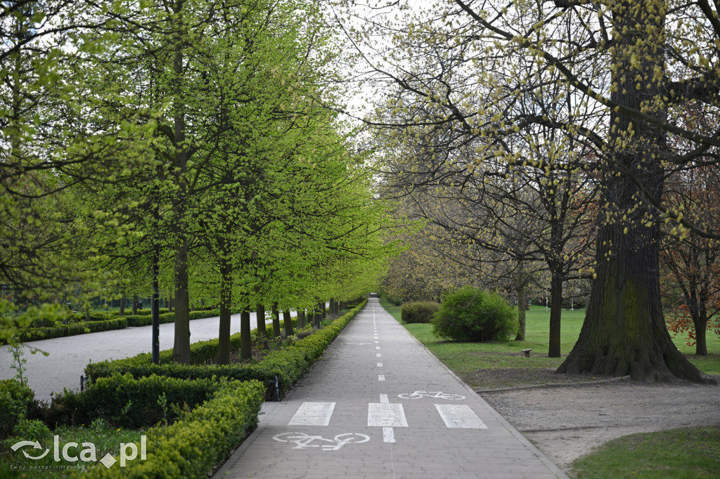 Spóźniona wiosna nadrabia czas w parku