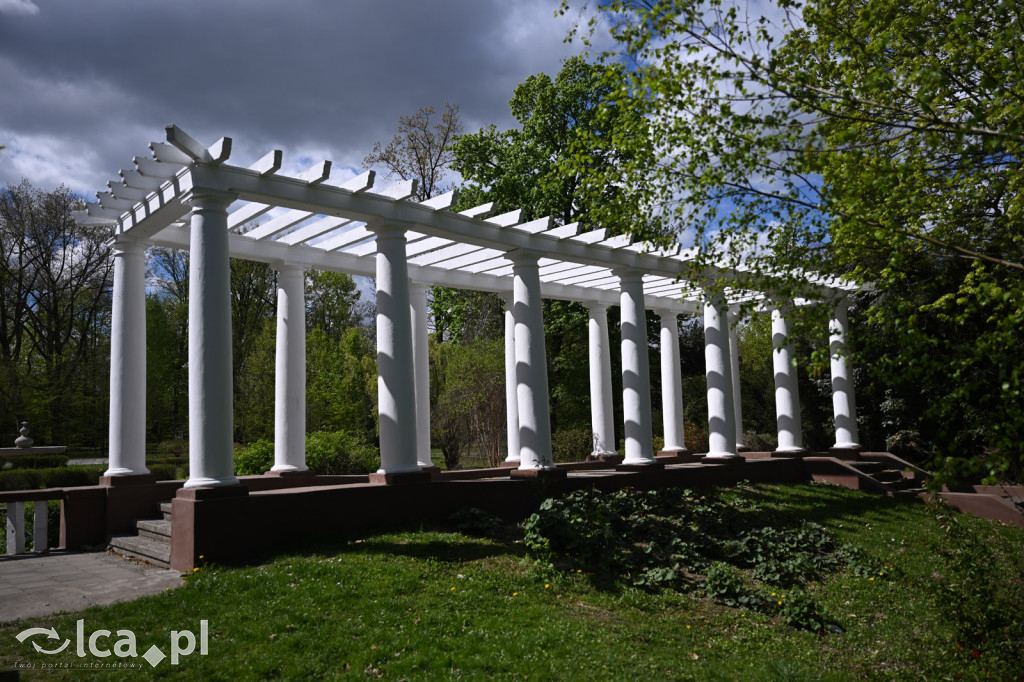 Spóźniona wiosna nadrabia czas w parku