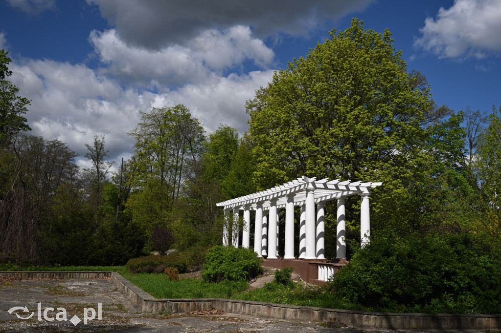 Spóźniona wiosna nadrabia czas w parku