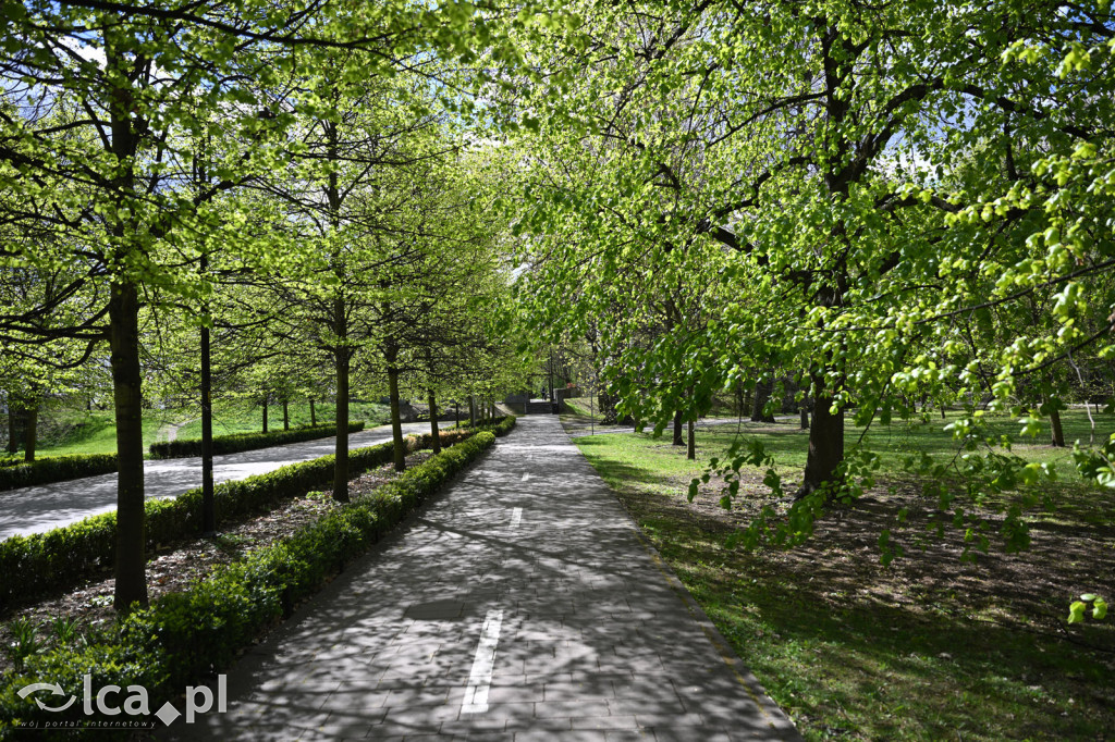 Spóźniona wiosna nadrabia czas w parku