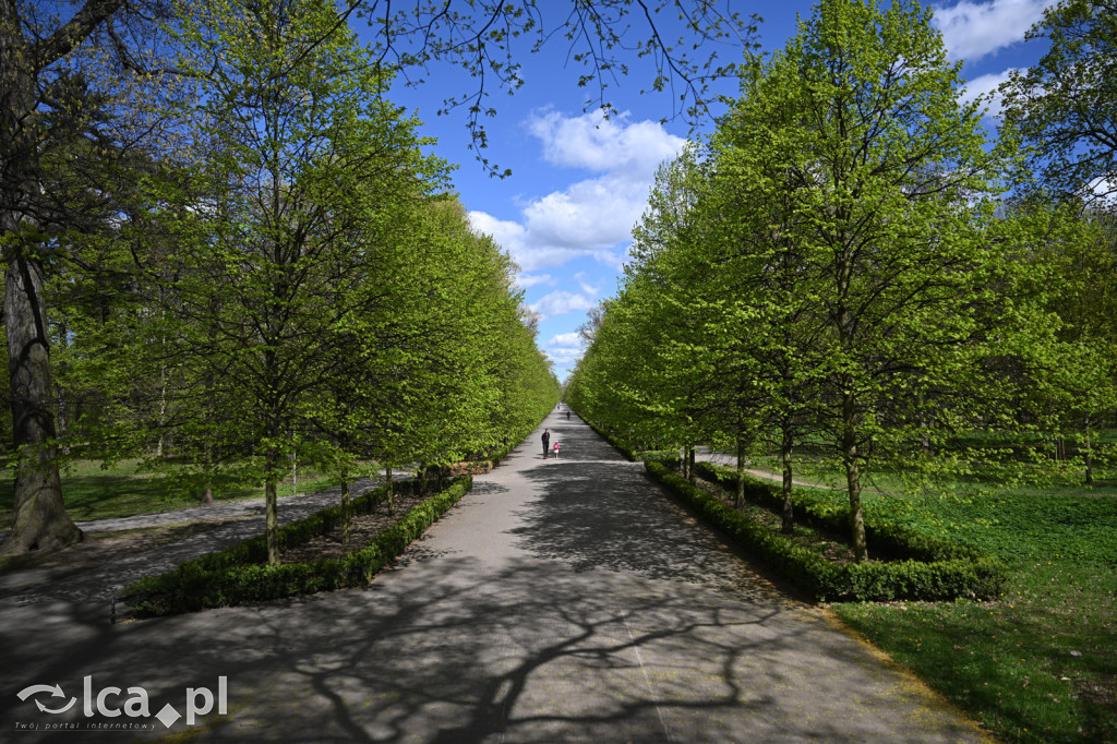 Spóźniona wiosna nadrabia czas w parku