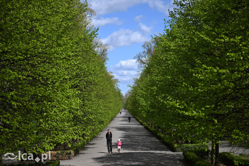 Spóźniona wiosna nadrabia czas w parku