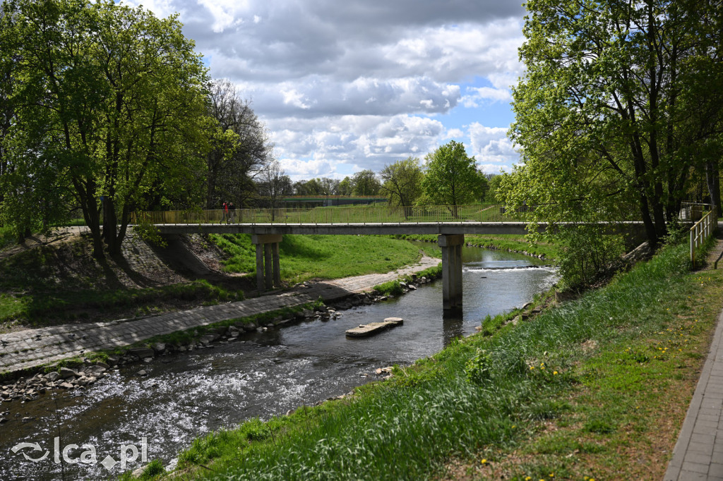 Spóźniona wiosna nadrabia czas w parku