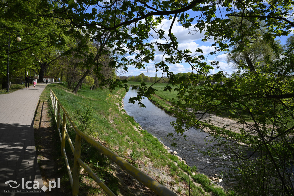 Spóźniona wiosna nadrabia czas w parku