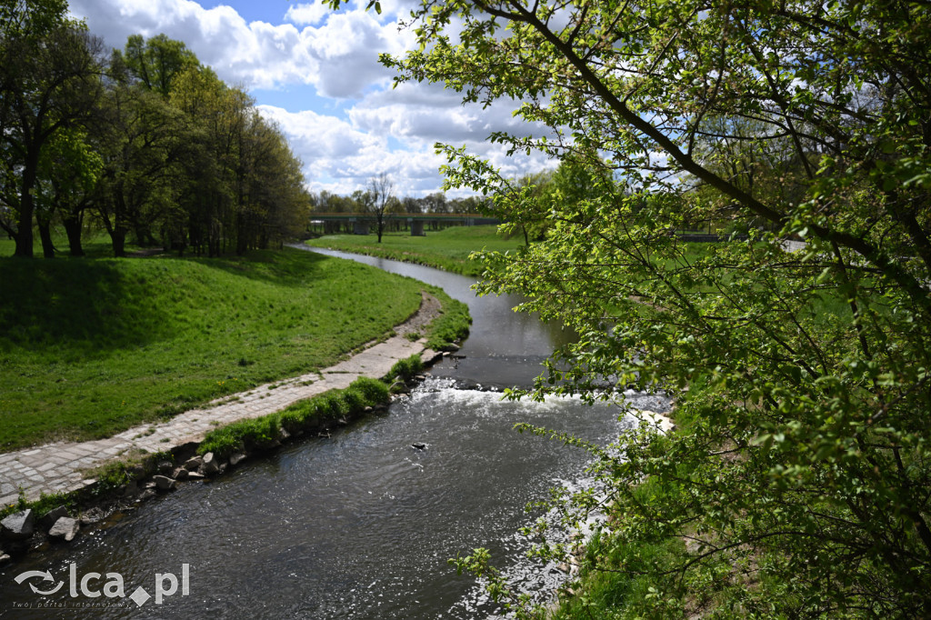 Spóźniona wiosna nadrabia czas w parku