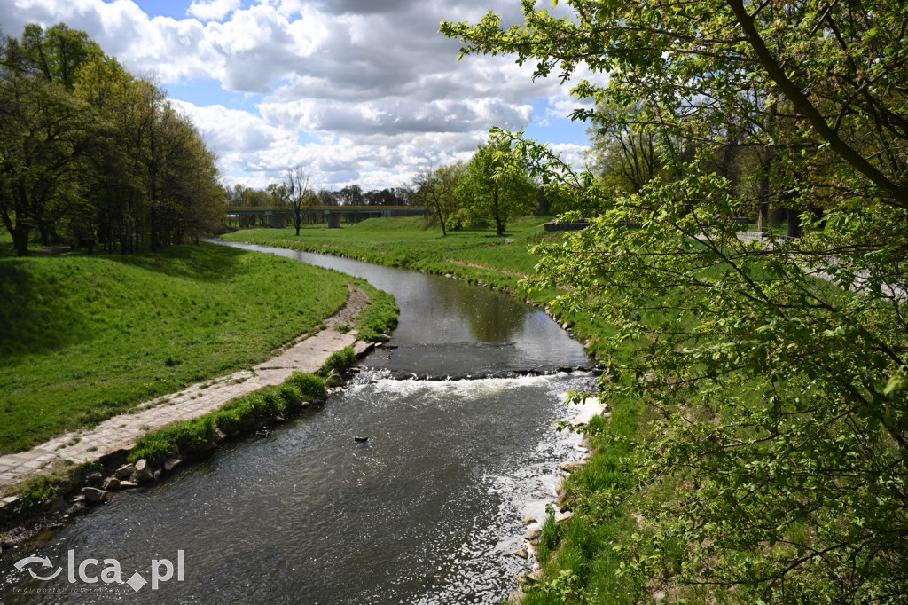 Spóźniona wiosna nadrabia czas w parku