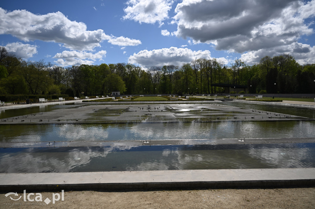 Spóźniona wiosna nadrabia czas w parku