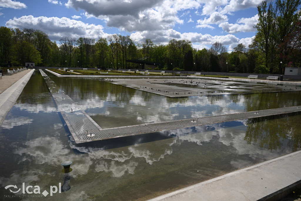 Spóźniona wiosna nadrabia czas w parku