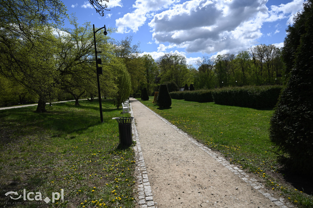 Spóźniona wiosna nadrabia czas w parku