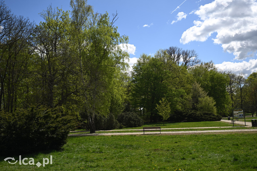 Spóźniona wiosna nadrabia czas w parku