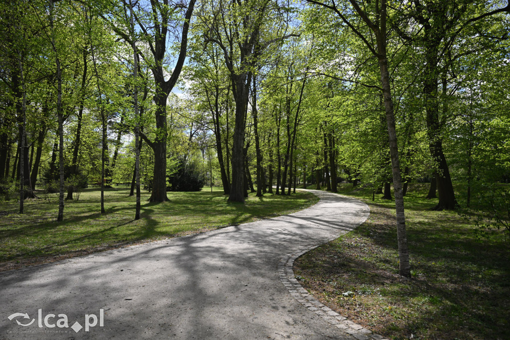 Spóźniona wiosna nadrabia czas w parku