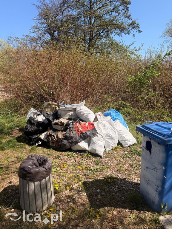 Wspólna akcja sprzątania w gminie Kunice