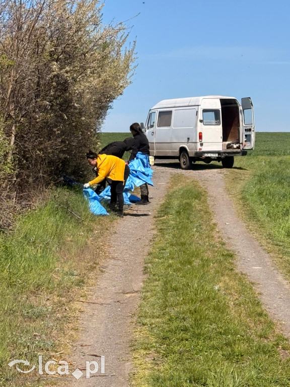 Wspólna akcja sprzątania w gminie Kunice