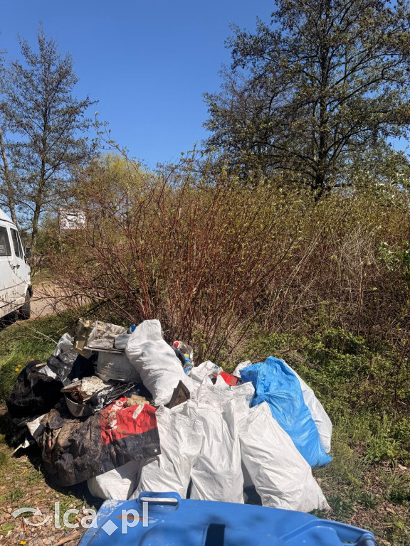 Wspólna akcja sprzątania w gminie Kunice