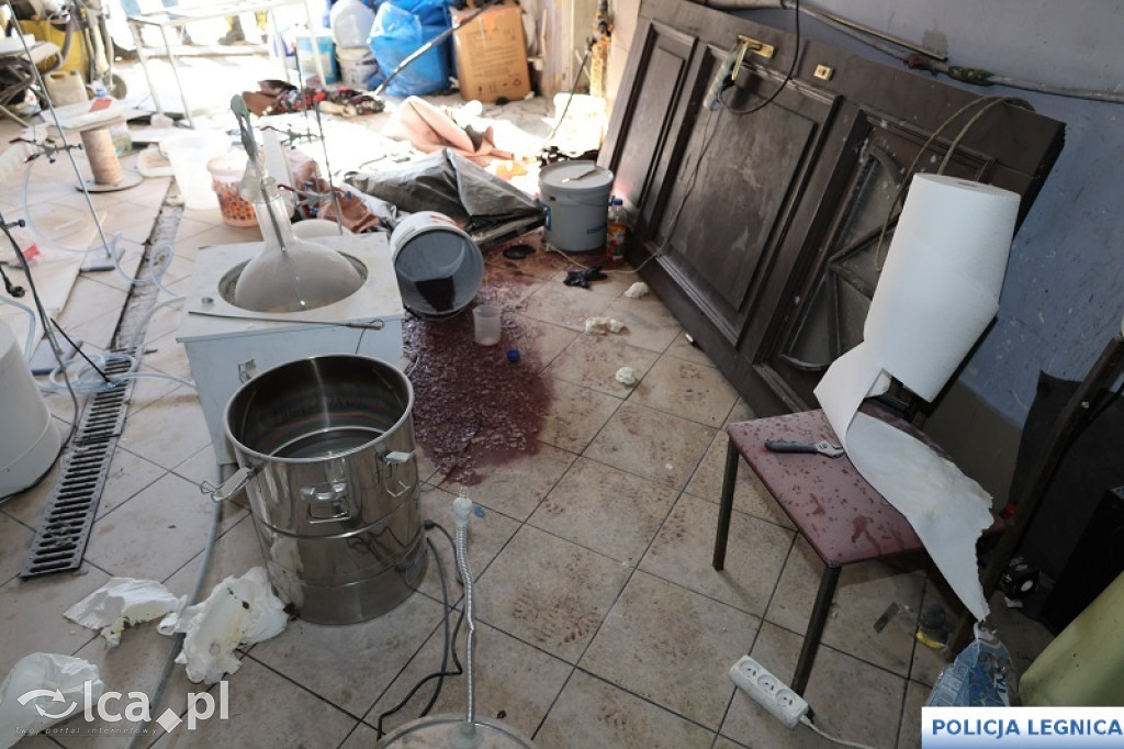 Legniccy policjanci rozbili narkotykowy biznes
