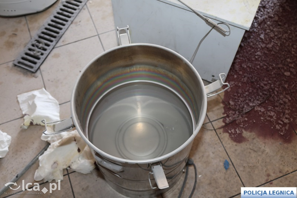 Legniccy policjanci rozbili narkotykowy biznes