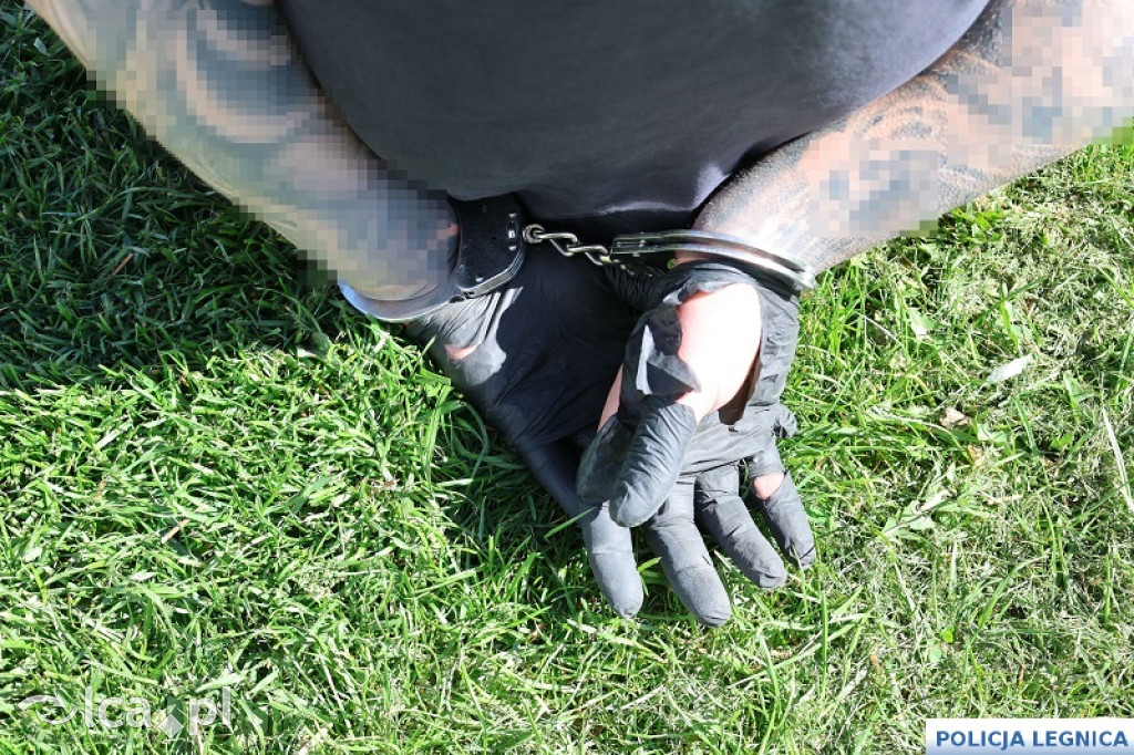 Legniccy policjanci rozbili narkotykowy biznes