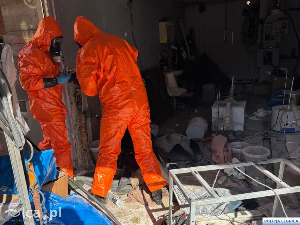 Legniccy policjanci rozbili narkotykowy biznes